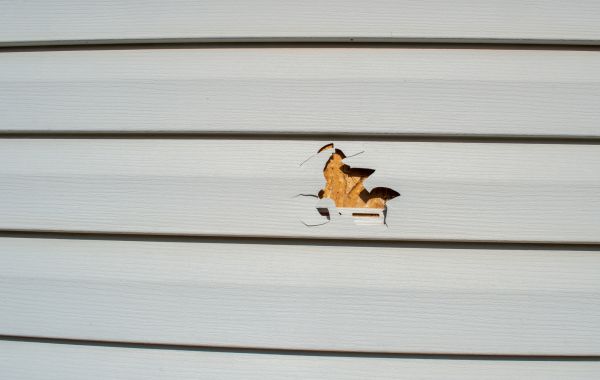 Cost of Siding Hole Patching in Morrisville
