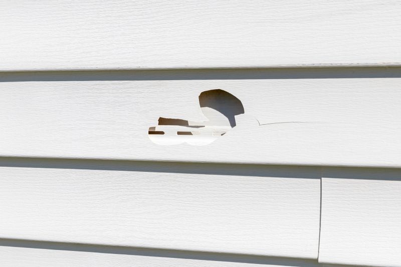 Patch and Seal Vinyl Siding